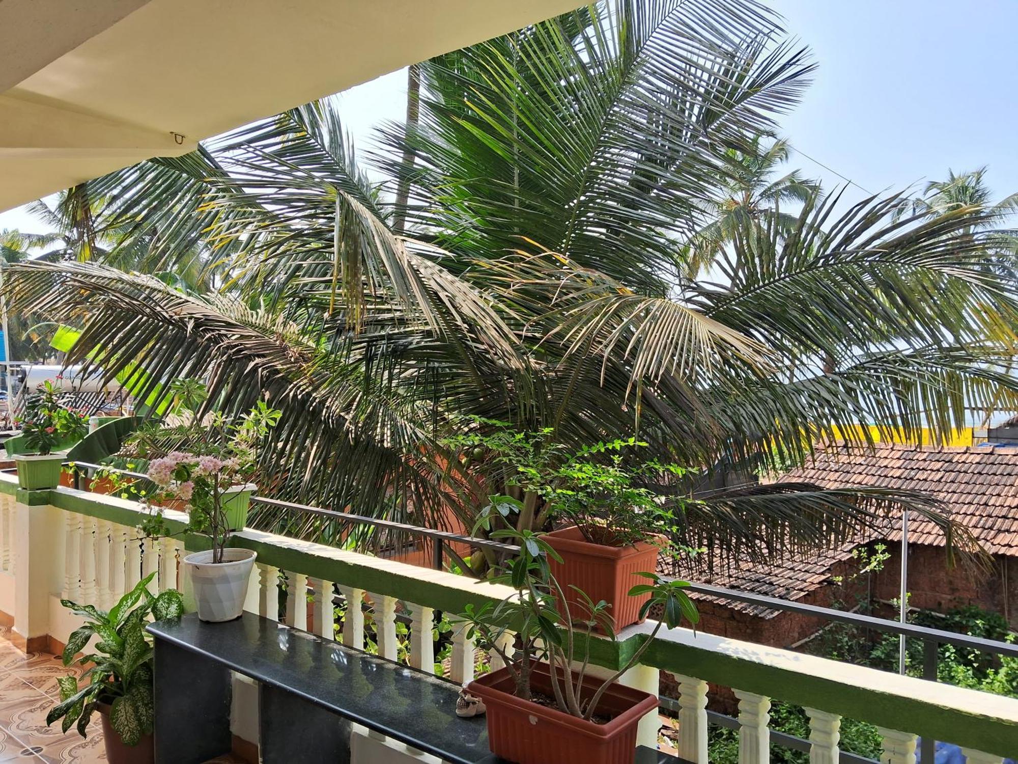 Cupid'S Heaven Resort Agonda Zimmer foto